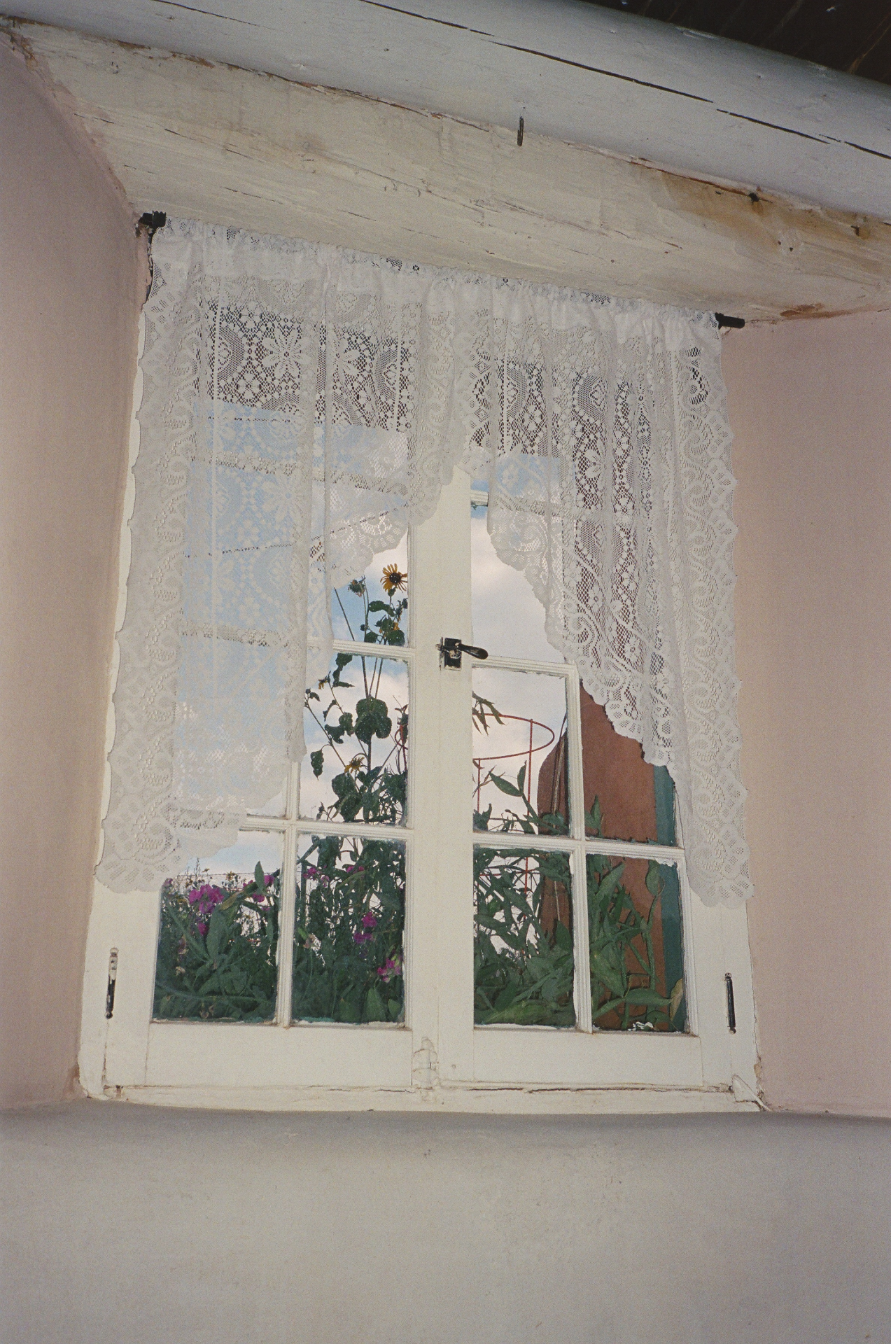 dining room window